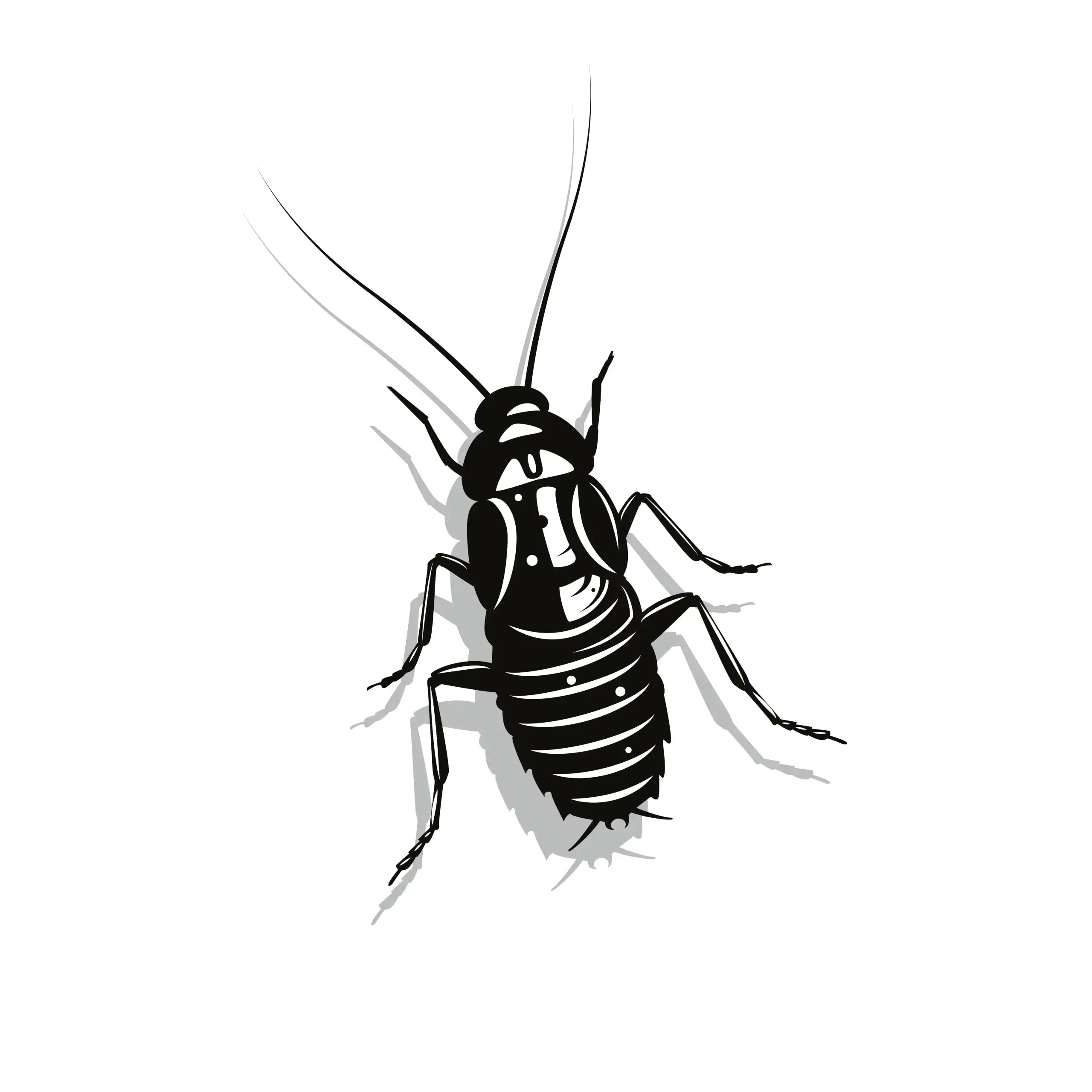 Close-up of a termite, pest control service in Durban, SA.