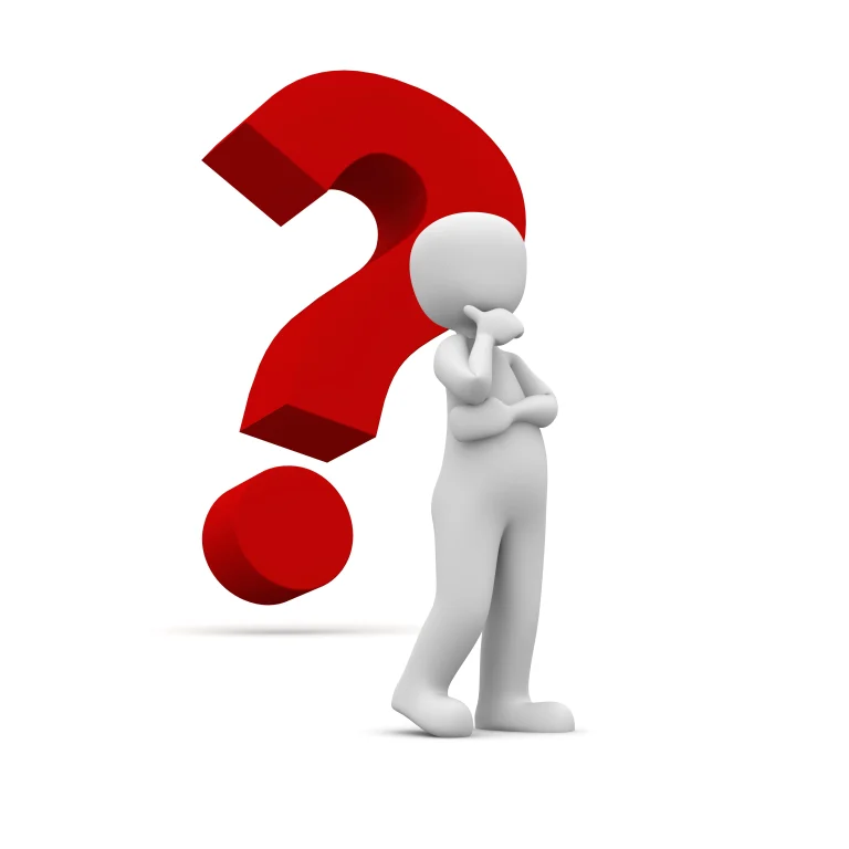 Illustration of a person standing beside a large question mark, representing what makes a Durban pest control company the best.