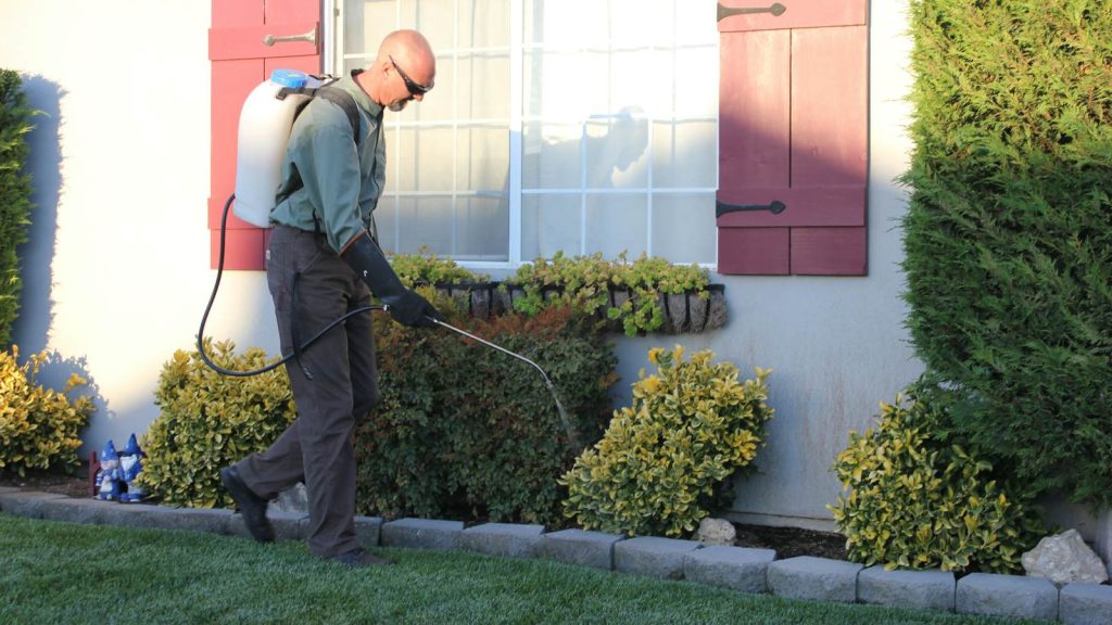 Pest control technician working outside a house